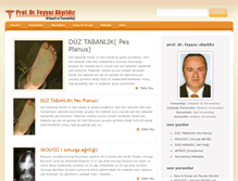 Tablet Screenshot of feyyazakyildiz.com